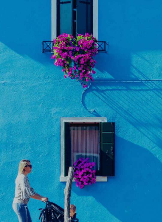 Еднодневни